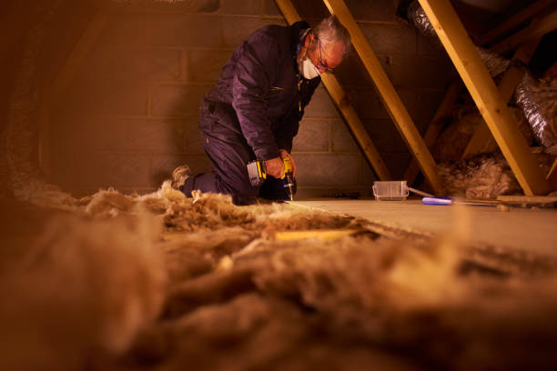 Best Insulation Maintenance and Repair in Erie, CO